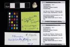 Foto (Objekt + Etikett) von Goniodromites sp.  (NHMW-GEO-2017-0089-0064a)